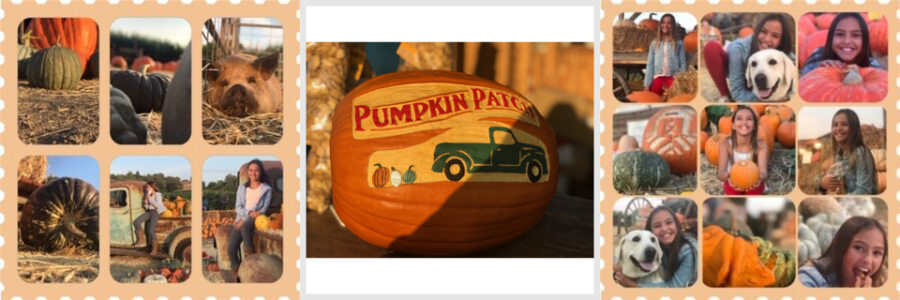 pumpkin patch A collage of pictures of people and pumpkins.
