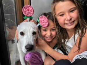 Three young girls with a white dog and lollipops.
