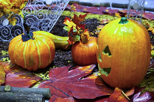 A group of pumpkins and leaves on a table.
